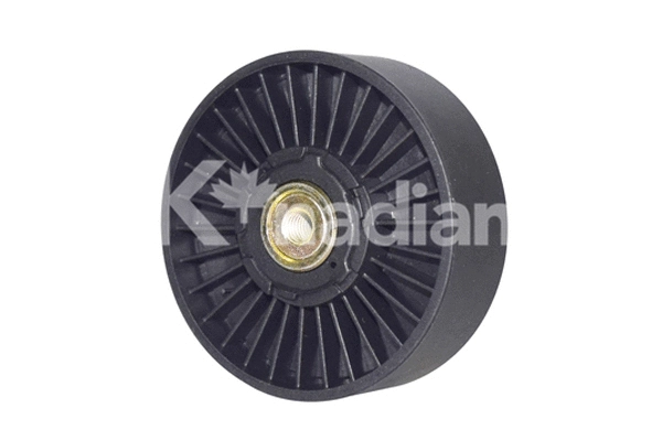Tensioner Pulley, timing belt (113050)