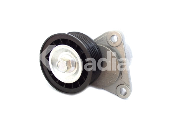 Tensioner Lever, V-ribbed belt (90064)