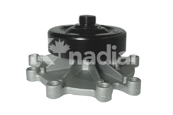 Water Pump, engine cooling (P927)