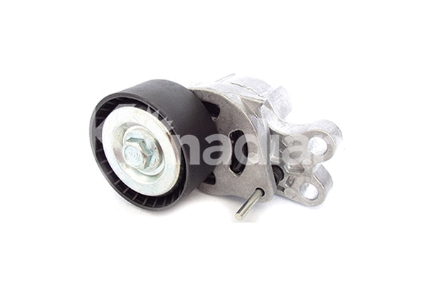 Tensioner Lever, V-ribbed belt (90059)