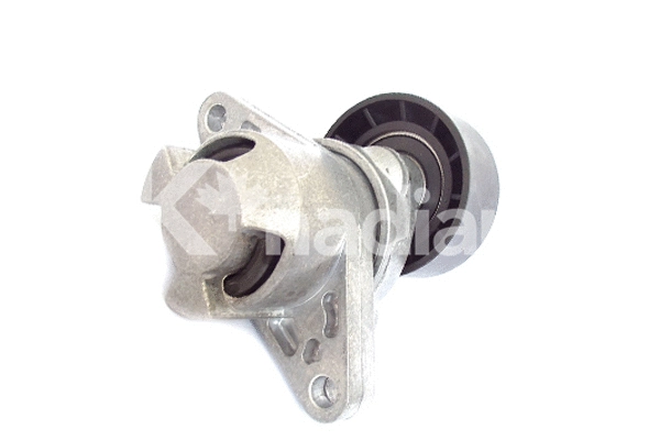 Tensioner Lever, V-ribbed belt