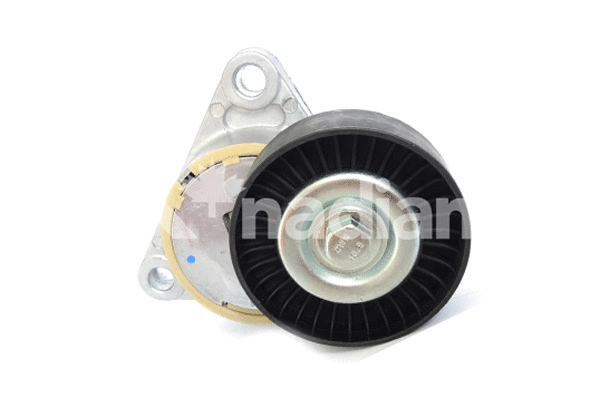 Tensioner Lever, V-ribbed belt (90071)