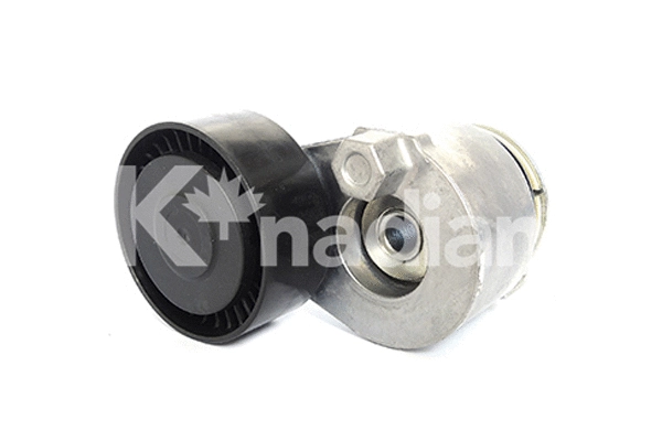 Tensioner Lever, V-ribbed belt (90076)