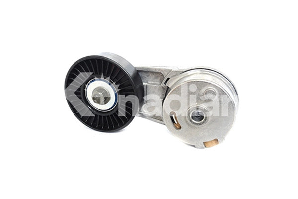 Tensioner Lever, V-ribbed belt (90316)