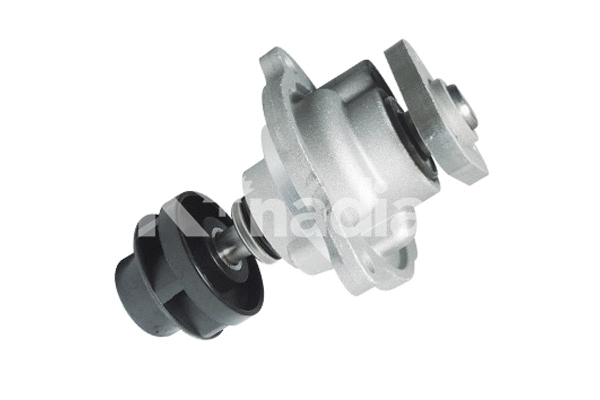 Water Pump, engine cooling (P546)