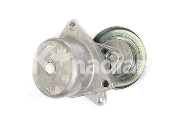 Tensioner Lever, V-ribbed belt