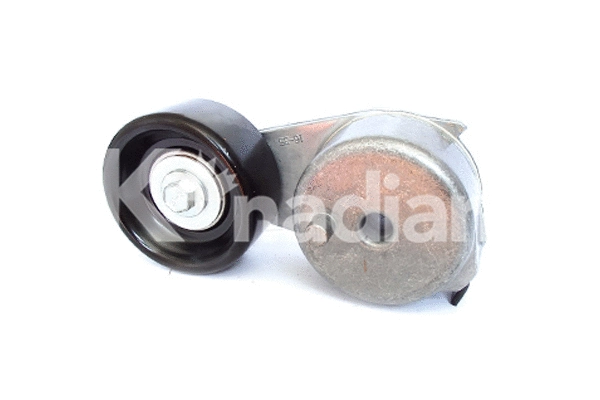 Tensioner Lever, V-ribbed belt (90384)