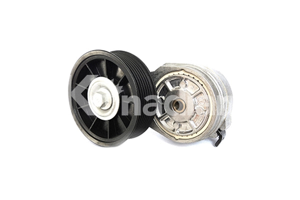 Tensioner Lever, V-ribbed belt (90287)