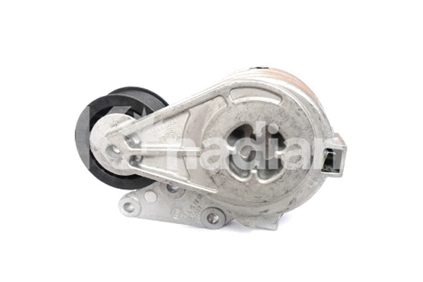 Tensioner Lever, V-ribbed belt