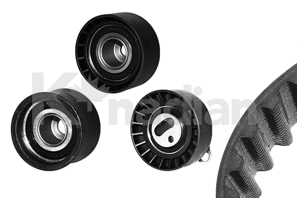 Timing Belt Kit (K258)