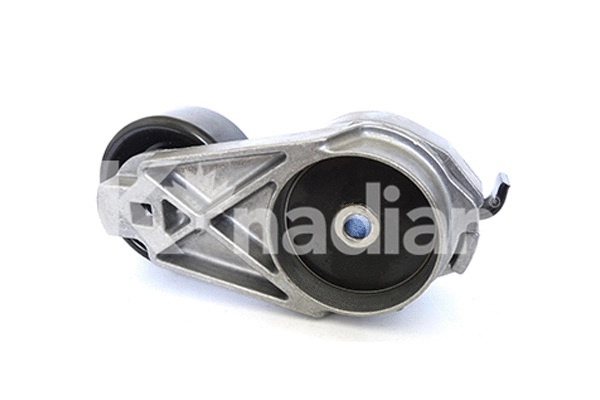 Tensioner Lever, V-ribbed belt