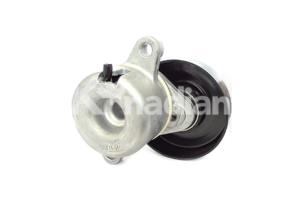 Tensioner Lever, V-ribbed belt