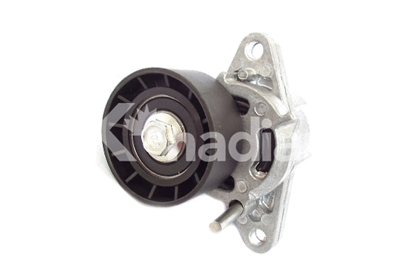 Tensioner Lever, V-ribbed belt (90054)