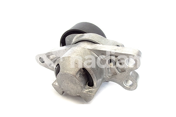 Tensioner Lever, V-ribbed belt