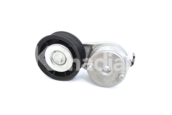 Tensioner Lever, V-ribbed belt (90325)