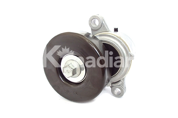 Tensioner Lever, V-ribbed belt (90267)