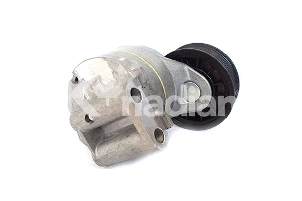 Tensioner Lever, V-ribbed belt