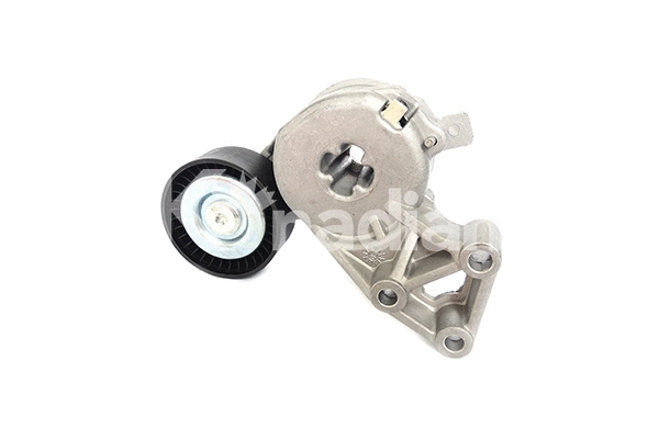 Tensioner Lever, V-ribbed belt (90284)