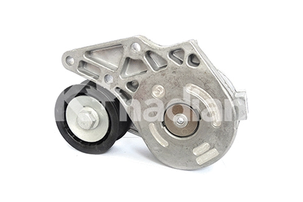 Tensioner Lever, V-ribbed belt (90506)