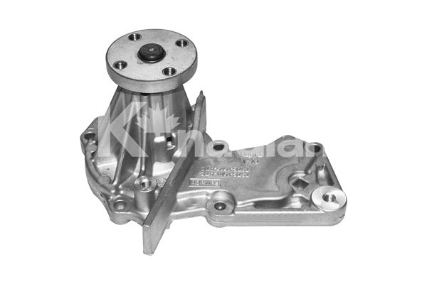 Water Pump, engine cooling (P1910)