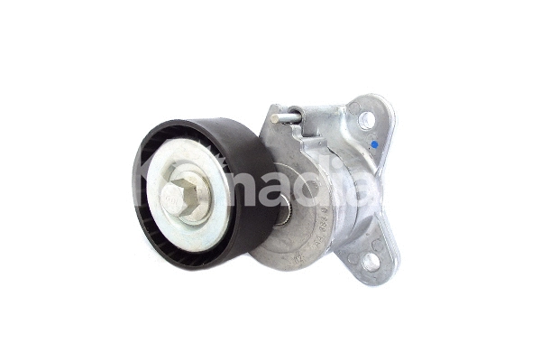 Tensioner Lever, V-ribbed belt (90042)