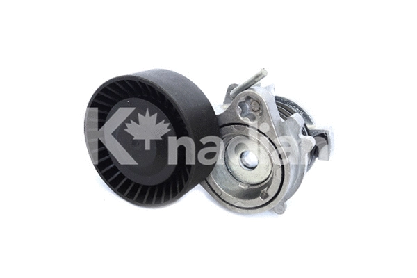 Tensioner Lever, V-ribbed belt (90345)