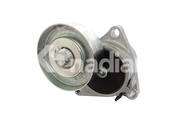 Tensioner Lever, V-ribbed belt (90322)