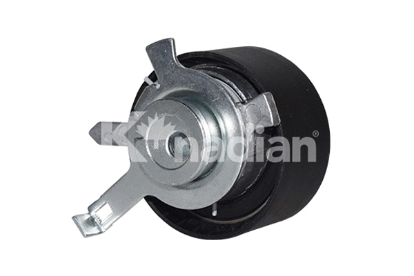 Tensioner Pulley, timing belt