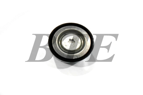 Deflection/Guide Pulley, V-ribbed belt (801450)