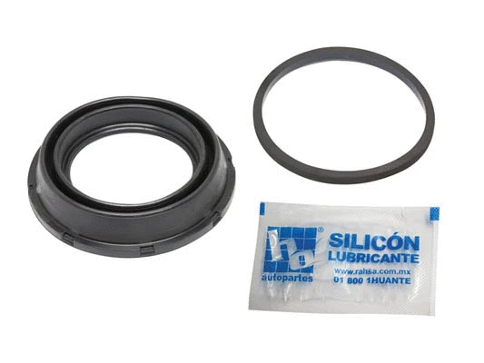 Accessory Kit, brake caliper (HOR214L)