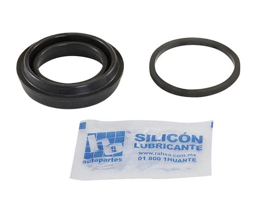 Accessory Kit, brake caliper (HOR213X)