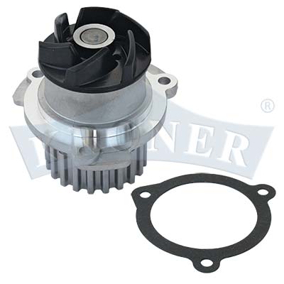 Gasket Set, water pump (K202008)