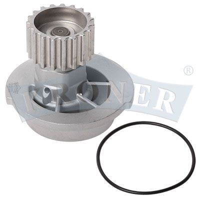 Gasket Set, water pump (K202032)