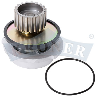 Gasket Set, water pump (K202033)