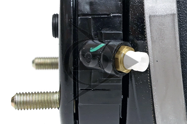 Air Suspension Strut