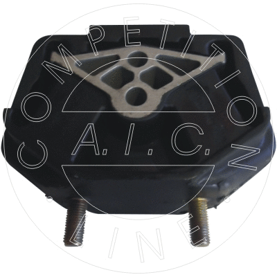 Mounting, automatic transmission (51594)