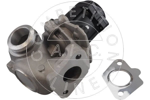 EGR Valve (70376)