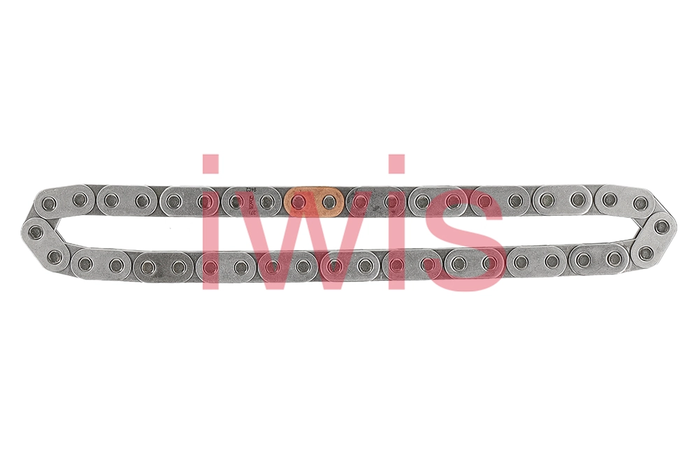 Timing Chain (59191)