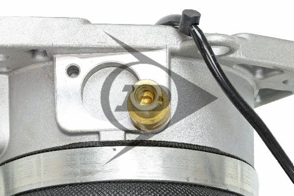 Air Suspension Strut