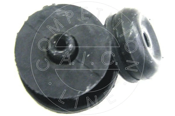 Mounting, engine (50207)