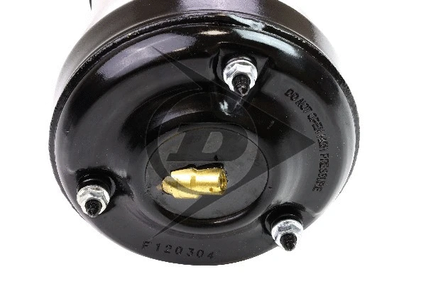 Air Suspension Strut