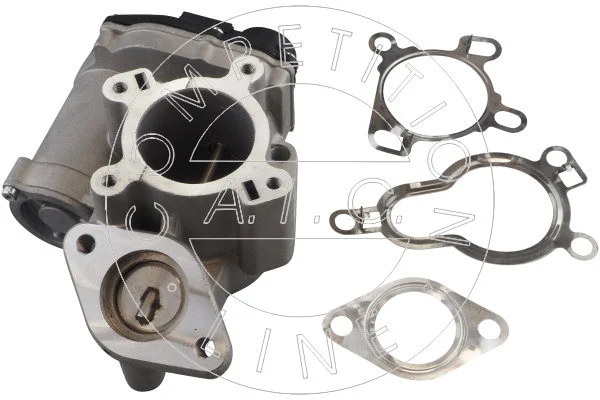 EGR Valve (70386)