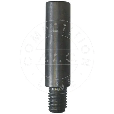 Guide Bolt, brake caliper (55282)