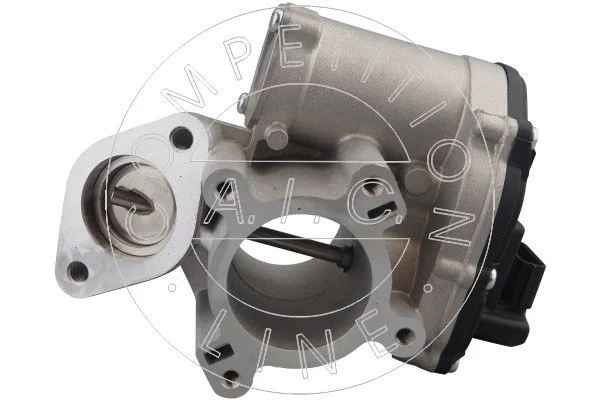 EGR Valve (70359)