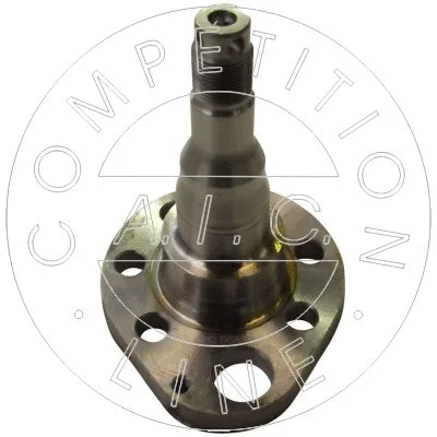 Kingpin, axle beam (51156)