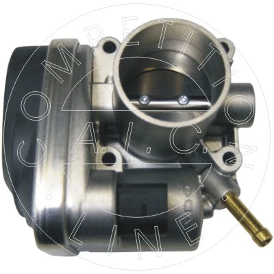 Throttle Body (52885)