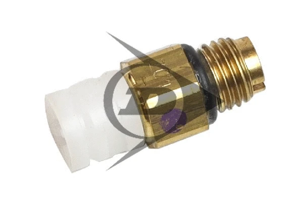 Air Suspension Strut