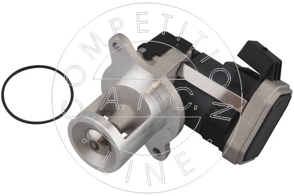 EGR Valve (70363)