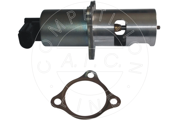 EGR Valve (55762)