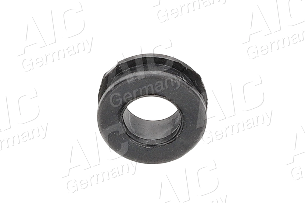 Bush, shift rod (71556)